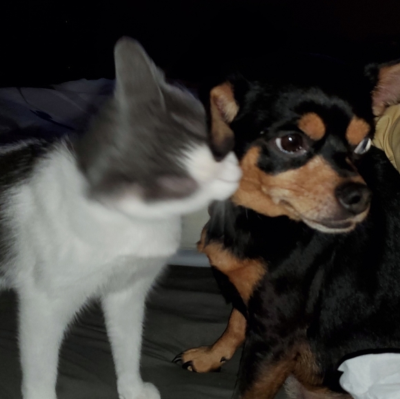 Keep an 👁 4 Sales! - Picture 8 of 8